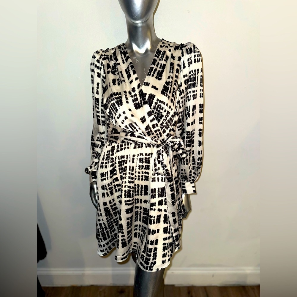 EXPRESS Print Dress